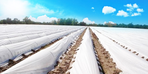 無(wú)紡布，無(wú)紡布價(jià)格，彈簧包用無(wú)紡布，家居無(wú)紡布，東莞市錦晨無(wú)紡布有限公司